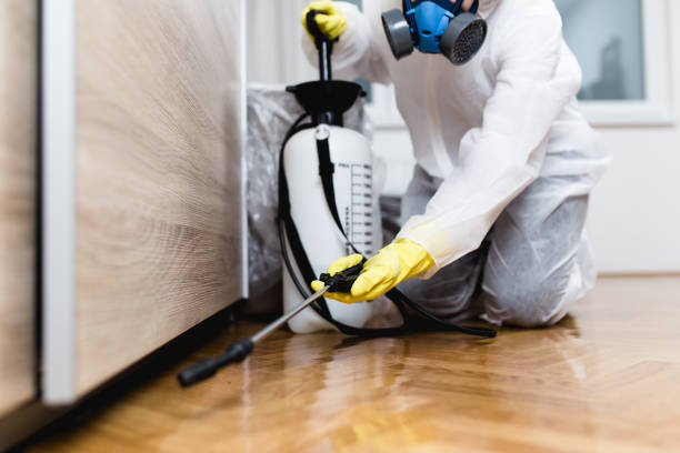 Best Pest Inspection Near Me  in Montour Falls, NY