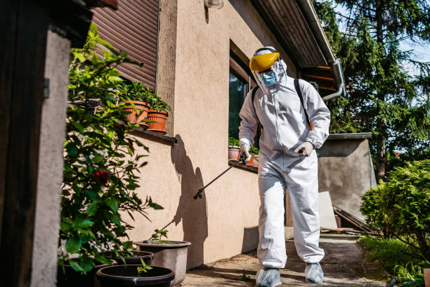 Bird Control in Montour Falls, NY