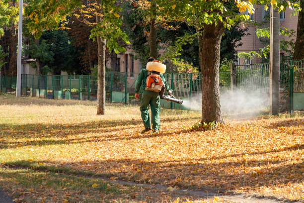 Best Pest Control Near Me  in Montour Falls, NY