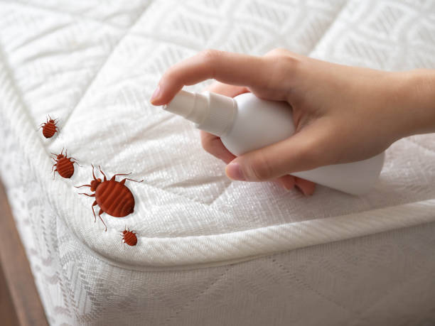 Best Pest Control for Restaurants  in Montour Falls, NY