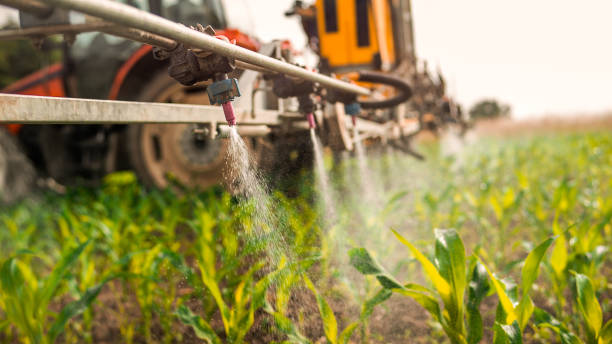 Best Pest Removal Services  in Montour Falls, NY