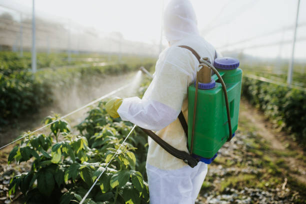Pest Control for Restaurants in Montour Falls, NY